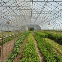 Serre Agricole Sinok Complète avec Système d'Irrigation, Tunnel Haut pour Légumes, Film PE, pour Tomates