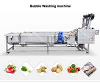 Automatische Fruitverwerkingsmachine Voor Groenten En Fruit