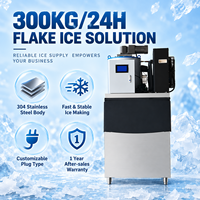 Nouvelle Offre Spéciale 300kg/24h Flocon de neige Flack Machine à glace Smart Commercial et usine Machine à glaçons