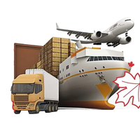 Service logistique professionnel, transport DDP DDU, fret aérien et maritime, agent d'expédition de la Chine vers le Danemark, l'Italie, la Belgique