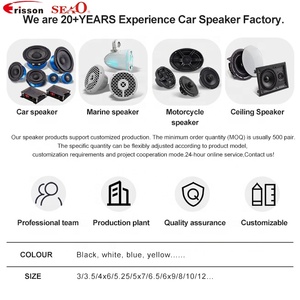 Altavoz Coaxial Profesional de Hierro de 6.5 Pulgadas con Tweeter, 4 Ohmios, 60W, 12V, 100% Probado, para Reequipamiento/Actualización de Puertas de Automóviles, Fabricante OEM/ODM - Product Image 4