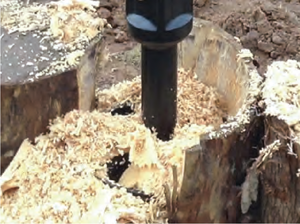 مصنع توريد الغابات المرفقات جذع شجرة طاحونة للحفارات و انزلاقية التوجيه - Product Image 3