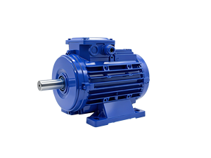 Moteur synchrone à aimants triphasé AC haute efficacité OEM/ODM LSPMSM-90L-4 1500 tr/min 380V 50/60Hz - Product Image 1