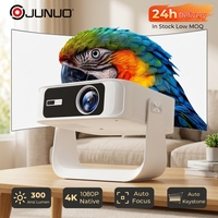 Proyector Q1 de Alta Luminosidad con Resolución Nativa de 1080P, 300ANSI Lúmenes, Lámpara de Larga Duración, Contraste de 1500:1, Gran Venta