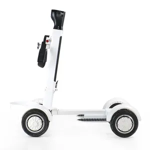 ESWING Mobility Scooters Electric 4 Wheel Electric Scooter 2000W Patinetes/Scooters Electr