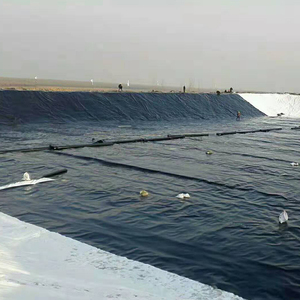 Cobertura de plástico para jardim, membrana geotécnica para lago, revestimento de geodésico, ldpe, hdpe, lldpe - Product Image 1