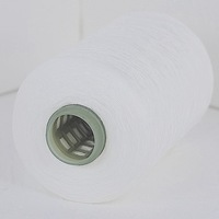 Deyuanchang Ne30S/1 100% poliéster Vortex hilado de alta tenacidad para tejer tejido suministro directo de fábrica precio competitivo