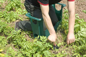 Vente en gros tabouret extérieur pliable en plastique pour <span class=keywords><strong>jardin</strong></span> genouillère <span class=keywords><strong>jardin</strong></span> pelouse plante stockage siège tabouret <span class=keywords><strong>banc</strong></span> avec boîte à outils - Product Image 3