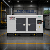 Cummins Erdgas-Generatorset 80KW 100kVA Syngas Biomasse LNG LPG Biogas Autostart Geräuscharm 3-Phasen 4-Draht 6BT-Motorantrieb