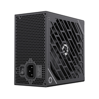 GAMEMAX GX-1050W Pro BK ATX 3.0 PCIe 5.0, 135mm F.D.B Ventilateur, capacité japonaise 80 Plus Platinum Alimentation entièrement modulaire