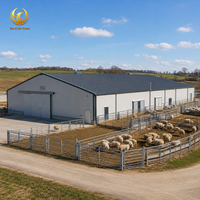 Bâtiment Agricole en Acier Préfabriqué Personnalisé, Entrepôt, Poulailler, Bâtiment d'Élevage de Poulets de Chair, Hangar de Production d'Œufs Ventilé
