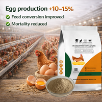Additif Alimentaire Prémélangé Best-Seller pour Poules Pondeuses – Améliore la Production d'Œufs – Nutrition Avicole – Vente Directe Usine