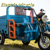 Kart électrique tout-terrain 750W 48V pour adultes avec batterie 20Ah, moteur BLDC, transmission par arbre, buggy des dunes, utilisation en extérieur, 70 km/h, charge 200 kg