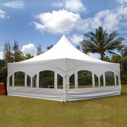 30*25 Promotion Événement PVC Tente Chapiteau Tente Auvent Extérieur