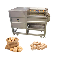 Fabrieksdirect automatische fruit- en groentewasser, mango-, aardappel- en cassave-schiller, wortelwas- en schilmachine
