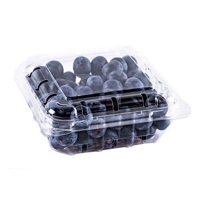 Disposable Transparent PET Clamshell Clear Plastic Container Box with Cutting Service for Fresh Fruit Packaging