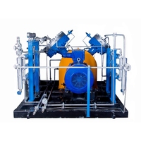 Compresseur de gaz à membrane haute pression pour chlore ammoniacal avec CE