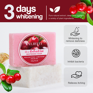 <span class=keywords><strong>Savon</strong></span> <span class=keywords><strong>Intime</strong></span> Éclaircissant et Exfoliant Doux à la Rose pour Femmes, Inhibe les Bactéries, OEM ODM - Product Image 5