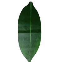 Usine Fournisseur HM00001-A 65CM Soie Artificielle Feuilles de Ti Femmes Porter Accessoires Hawaï Hula Girl Soirée Dansante Pour Jupe BRICOLAGE