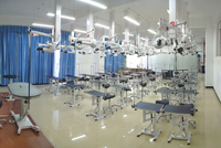공장 도매 AEOLUS 고급 금속 및 고무 접이식 애완동물 전문 대회/훈련 테이블 강아지 미용 테이블