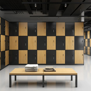 Thiết Kế Mới Phòng Tập Thể Dục Trung Tâm Thể Dục Hot Bán Hpl Hội Đồng Quản Trị Tập Thể Dục Lưu Trữ Tủ Tùy Chỉnh Phòng Tập Thể Dục Tủ Với Băng Ghế - Product Image 3