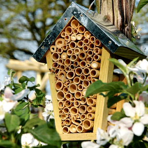 Tubes gigognes en bambou pour hôtels à insectes |   Matériel d'habitat écologique, durable et non toxique pour les abeilles solitaires et les insectes bénéfiques | - Product Image 1