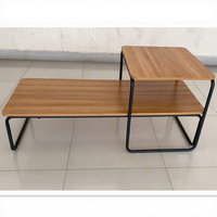 Table basse de luxe en fer forgé au design nordique, mobile pour usage domestique