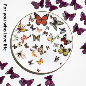 Assiette en porcelaine de style nordique pour la salle à manger, bord doré, vaisselle en porcelaine osseuse, assiette de mariage, assiette en céramique avec bord doré - Product Image 2