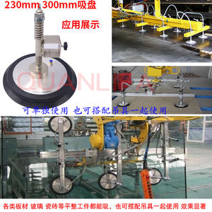 Ventouses industrielles en acier inoxydable robustes 160 mm 230 mm 300 mm compatibles avec les bras robotiques - Product Image 3