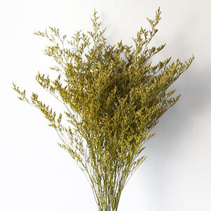 Вечные цветы, экологически чистые сушеные цветы Каспии для украшения вечеринки и оформления дома, похоронные принадлежности, букет - Product Image 3