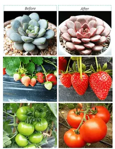 أنبوب ضوء ال اي دي خاص لنمو النباتات, T8 ، مقاوم للماء ، أحمر ، أزرق ، فوق البنفسجية ، كامل الطيف ، للنباتات ، زراعة الخضروات والفاكهة ، استخدام مزرعة ميكروجرين