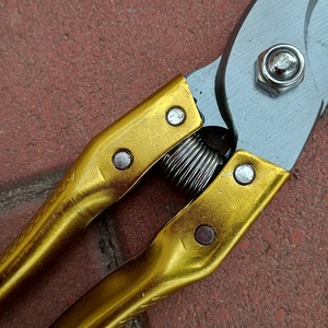 Tijeras de <span class=keywords><strong>podar</strong></span> profesionales, herramientas de jardín con mango de Metal, tijeras <span class=keywords><strong>para</strong></span> <span class=keywords><strong>podar</strong></span> flores, <span class=keywords><strong>árboles</strong></span> frutales, <span class=keywords><strong>árboles</strong></span> de arce - Product Image 5