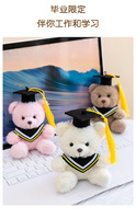 Doctor Bear Peluche Super Douce en Polyester et Coton PP, Pendentif, Breloque de Sac, Porte-clés, Jouet en Peluche, Cadeau pour Événements Scolaires et Remise de Diplôme