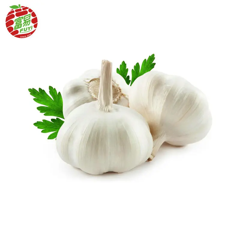 Fresh garlic white in fresh vegetables and fruits company