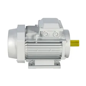 Лучшее качество IE1 IE2 IE3 IE4 weg моторы 25hp 30hp 40hp 50hp ABB электродвигатели pmsm для промышленного оборудования