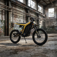 Moto électrique haute vitesse 79 Bike LYNX 56MPH, moto de haute qualité