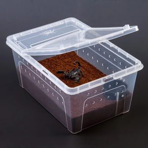 Boîte de nourrissage pour reptiles en plastique de haute qualité Joysing, conteneur en verre pour reptiles, <span class=keywords><strong>cage</strong></span> pour animaux de compagnie, boîte pour reptiles rampants - Product Image 3