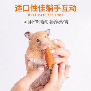 Jouets à mâcher pour hamsters, biscuits en forme de fruits et légumes, collations à base d'herbe de Timothy pour animaux d'intérieur, sûres, comestibles et décoratives - Product Image 4