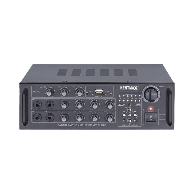 Professional Audio 15 Watt 2 Channels Power Home AC DC Audio Power Amplifier