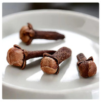 Qiingchun clous de girofle séchés entiers de haute qualité granule cru assaisonnements de cuisson épices herbe clous de girofle séchés rouges