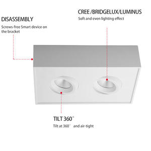 16W doble cabeza cuadrada abajo luz <span class=keywords><strong>Rectangular</strong></span> ajustable doble cabeza <span class=keywords><strong>LED</strong></span> foco <span class=keywords><strong>superficie</strong></span> montada <span class=keywords><strong>Downlight</strong></span> - Product Image 3