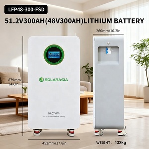 Batería Móvil de Litio Ferrofosfato 48V 51.2V 210A 314Ah 10kWh 15kWh 16kWh, Paquete de Baterías de Iones de Litio para Sistema Solar Doméstico LF - Product Image 5