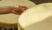 Machine manuelle à fabriquer des chapatis Machine automatique à cuire des crêpes Machine à presser la pâte Tortilla Chauffage au gaz