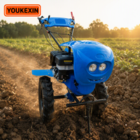 Tractor Agrícola Diésel de Transmisión Directa Ykx Factory con Bloqueo de Diferencial de Eje Reforzado, Marca Personalizada para Proveedores de Oro de Oriente Medio