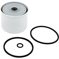 Pièces automobiles de haute qualité Filtres à carburant automobiles pour RENAULT TRUCKS Midliner 1982-2000 26561117 26560171 26560172