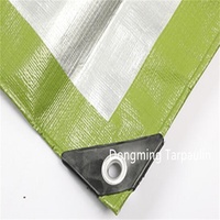 Tissu imperméable transparent vert de couverture de camion de bâche de PVC/PE du fabricant de la Chine avec le modèle enduit pour des garçons et des filles