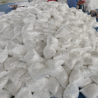 La fibre plastique de béton de mortier anti-fissuration de fibre de polyester résistant à la chaleur améliore efficacement la résistance du ciment
