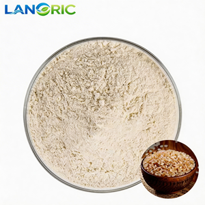 Bột <span class=keywords><strong>protein</strong></span> chiết xuất từ gạo lứt nảy mầm hữu cơ thủy phân, cấp thực phẩm, hàm lượng 80% - Product Image 1