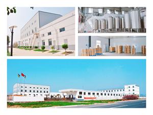 B.C.I fornisce enzima glucosio ossidasi per uso alimentare per la cottura degli enzimi - Product Image 6