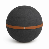 Ballon d'exercice ergonomique anti-éclatement de 65 cm de couleur personnalisée, pour soulager les douleurs dorsales, yoga, pilates, chaise de bureau, Pezziball